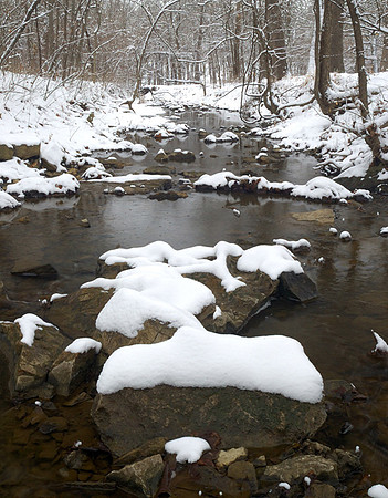 Early Snowfall, Walnut Grove, Shawnee Mission Park, Shawnee, Kansas