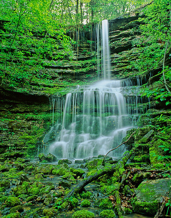 Pearly Spring, Buffalo River Trail, Arkansas