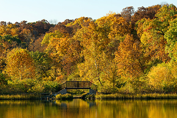 Footbridge with Fall color Shawnee Mission Park, Kansas