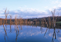 Late Evening, Kill Creek Park, Olathe, Kansas