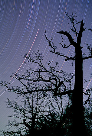Star Trails, Bull Shoals Lake, Arkansas