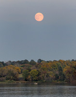 Moonrise, Shawnee Mission Park, Shawnee, Kansas