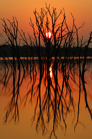 Mid-summer Sunset, Kill Creek Park, Olathe, Kansas