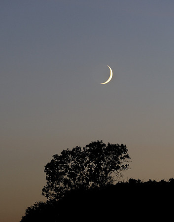 Evening Crescent, Shawnee Mission Park, Shawnee, Kansas