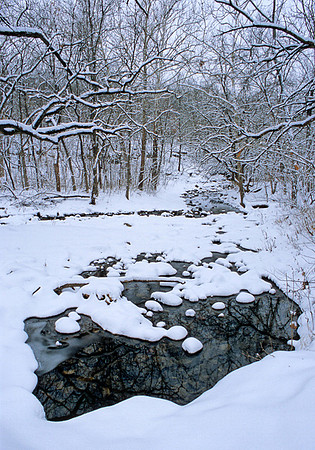 Snowfall, Walnut Grove Nature Trail, Shawnee Mission Park, Shawnee, Kansas