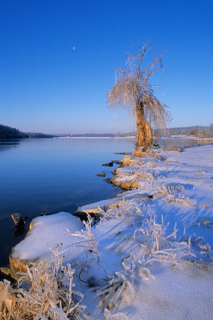 After the Ice Storm, Shawnee Mission Park, Shawnee, Kansas