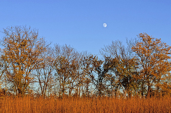 Moonrise and Fall Foliage, Kill Creek Park, Olathe, Kansas