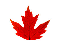 Canada, Eh?