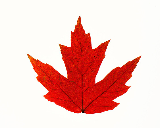 Canada, Eh?