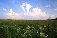 Evening Thunderstorms, Kill Creek Prairie, Olathe, Kansas