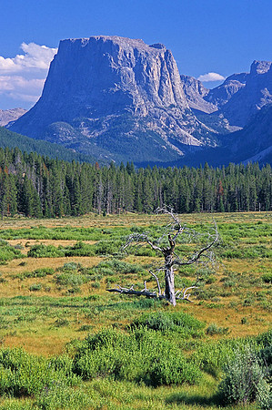 Squaretop Mountain, Bridger Wilderness, Wyoming