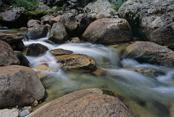 Porcupine Creek, Bridger-Teton National Forest , Wyoming