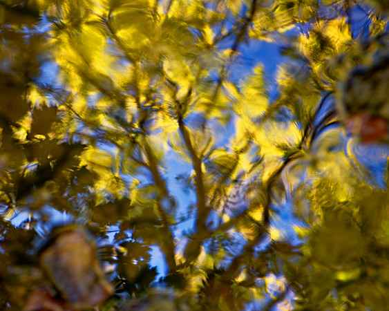 Stream Reflections, Shawnee Mission Park, Kansas