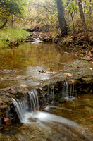 Fall color, unnamed creek, Shawnee Mission Park, Shawnee, Kansas