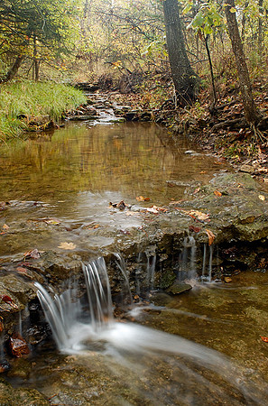 Fall color, unnamed creek, Shawnee Mission Park, Shawnee, Kansas